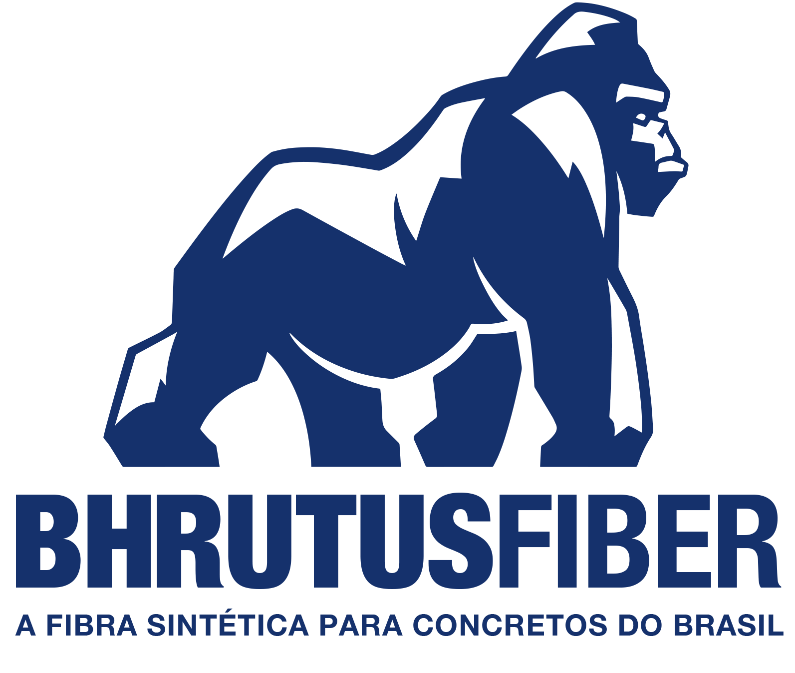 Bhrutus Fiber Brasil